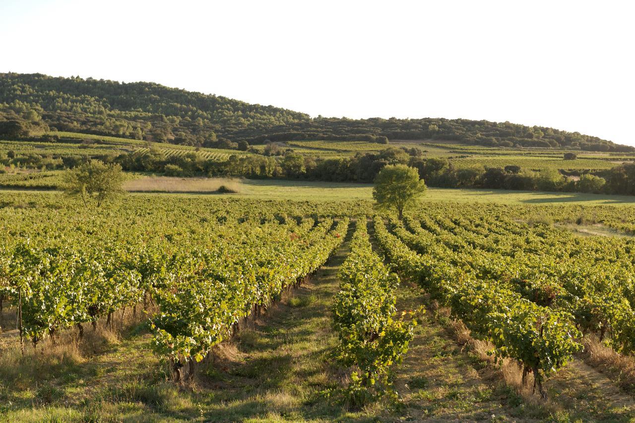 Domaine De Pelican Gignac  Exteriér fotografie
