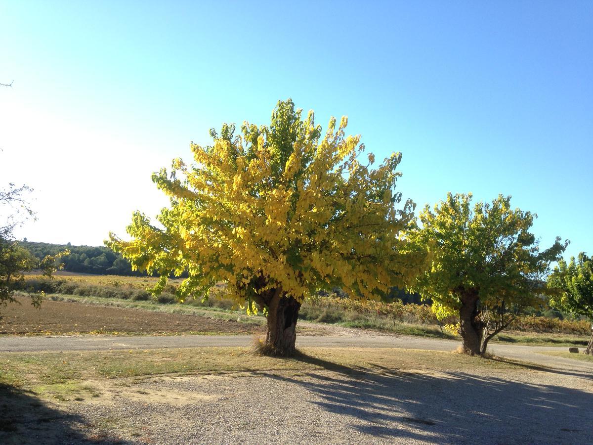 Domaine De Pelican Gignac  Exteriér fotografie